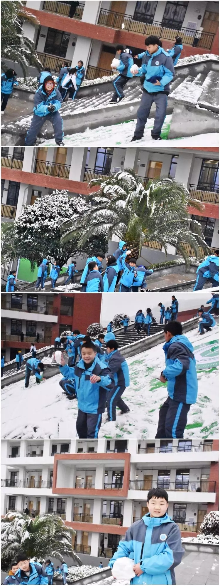 我校迎来了今年入冬的初雪 - 上海新纪元赫章学校